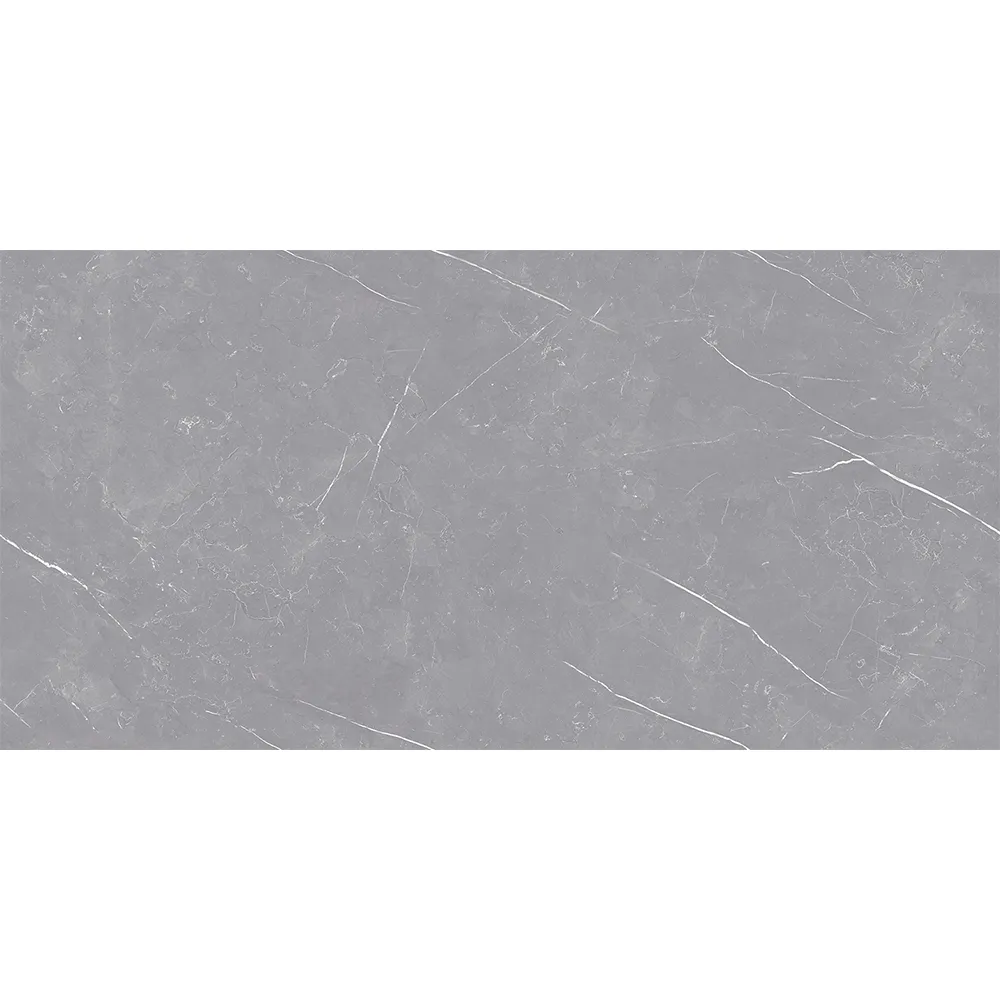 Beris 60×120 Polished Porcelain Tile dark gray