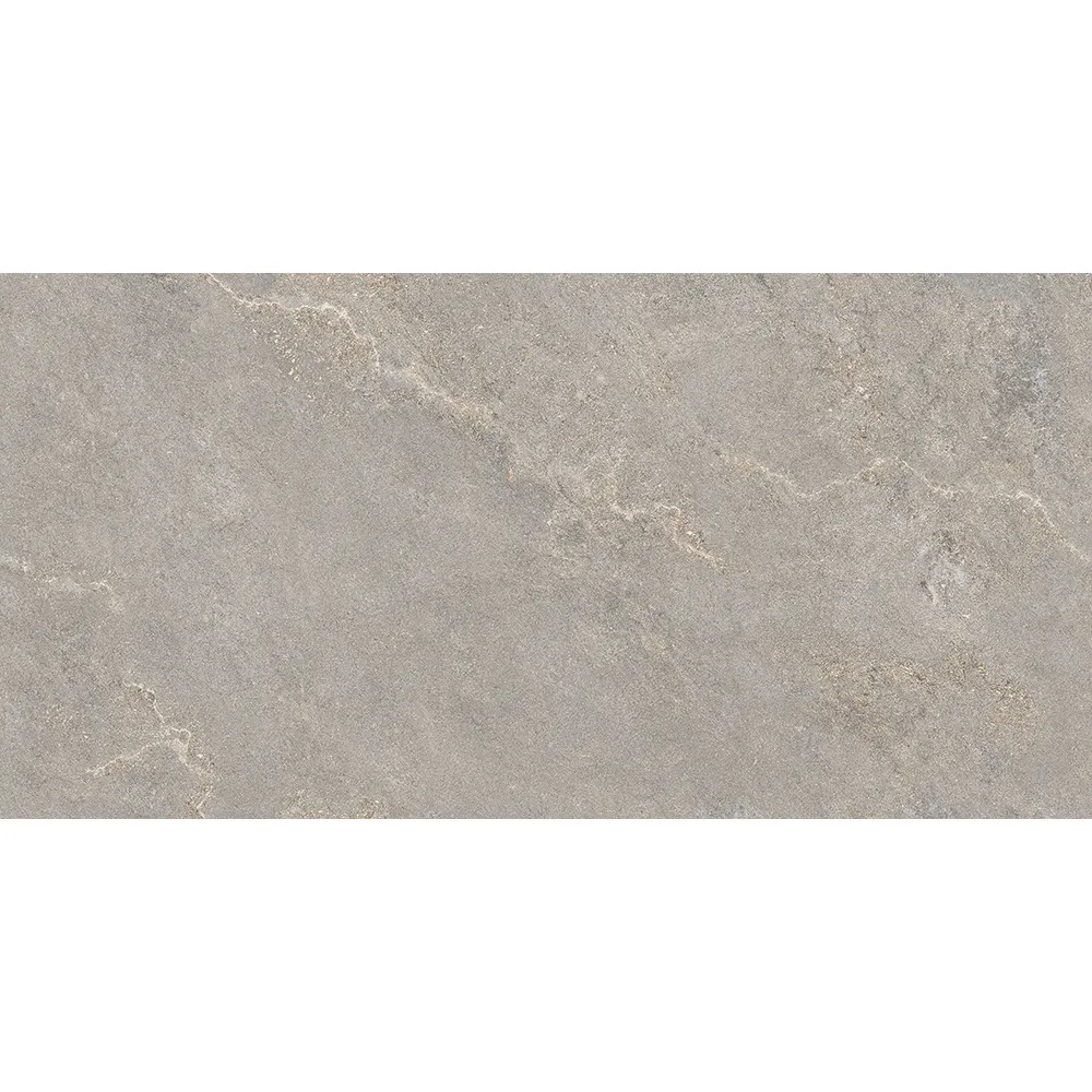 Estarem 60x120 Matte Ceramic Tile dark gray